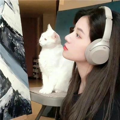 疯狂的契约